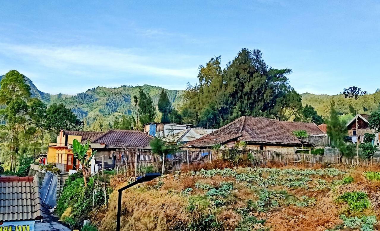 Homestay Anggun Bromo Exterior foto